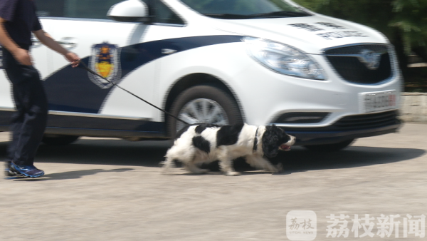 江蘇南京：感受“特警力量” 探秘現實中兩支反恐精英部隊(組圖)